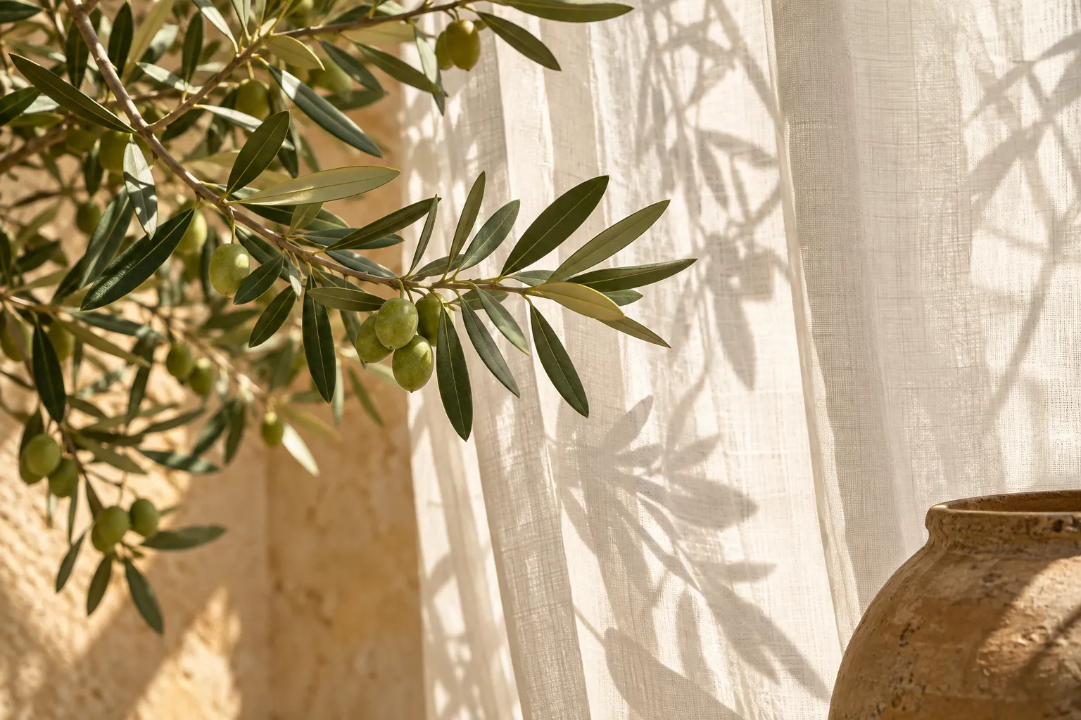 Morning light through linen, with an olive branch and its shadows